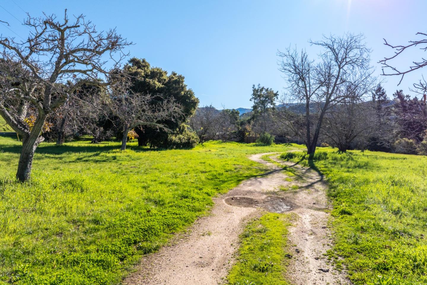 29 East Carmel Valley Road