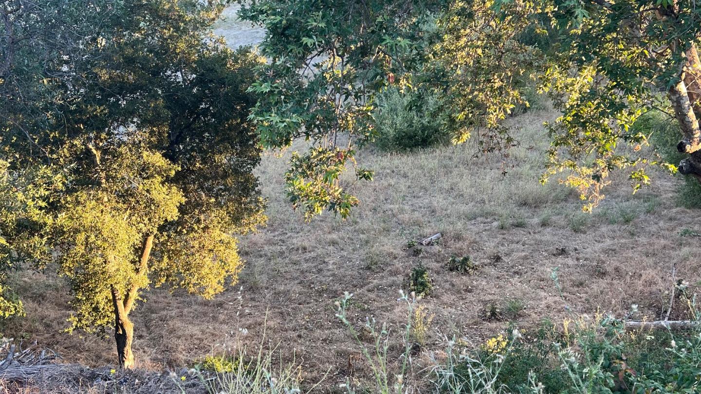 360 West Carmel Valley