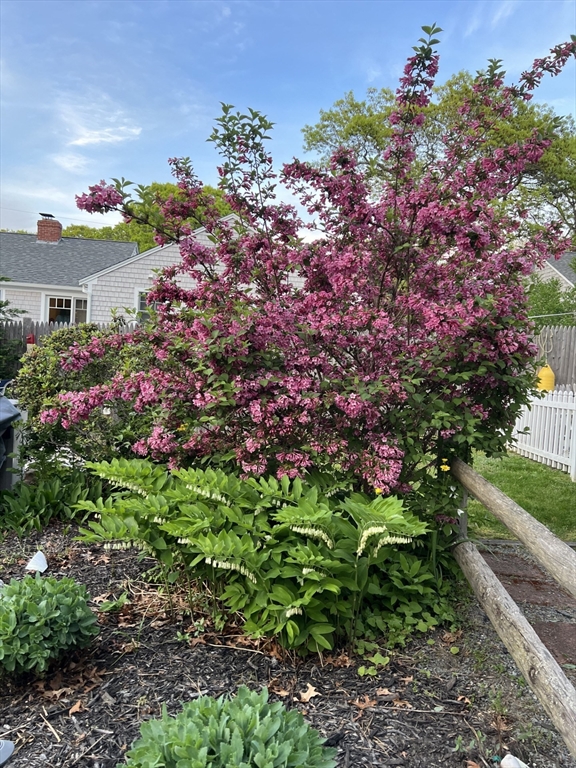 16 Indian Pond Rd