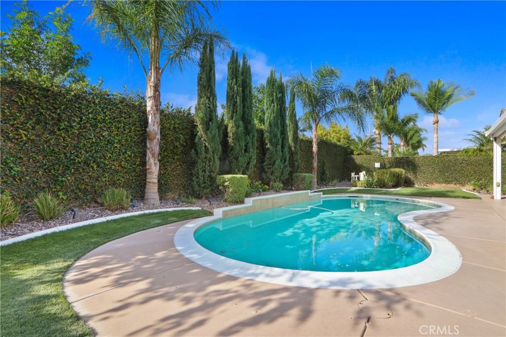 Backyard swimming pool with curved white coping, palm trees, and tall hedges.