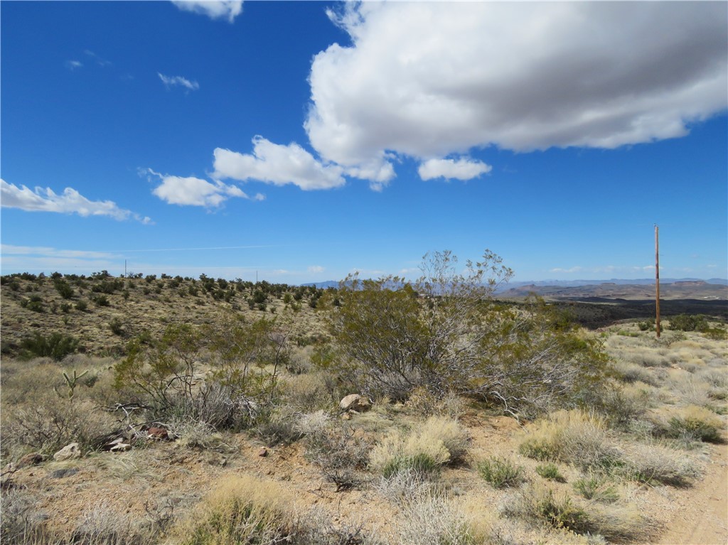 6.01 Acres E Appaloosa Lane
