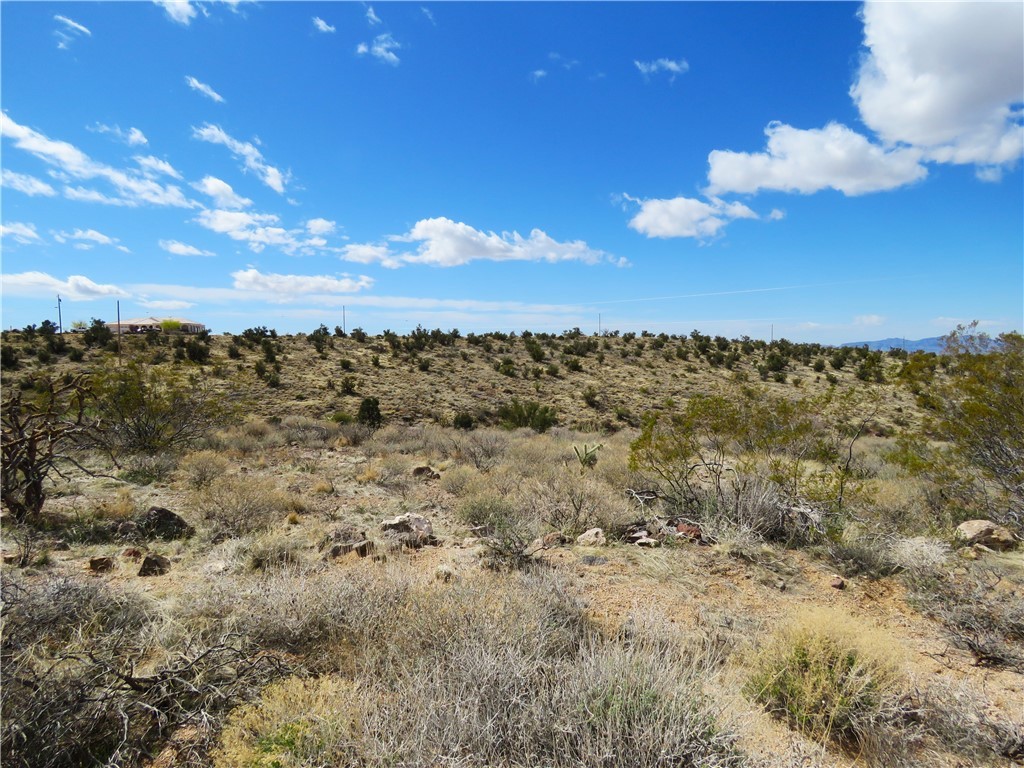 6.01 Acres E Appaloosa Lane