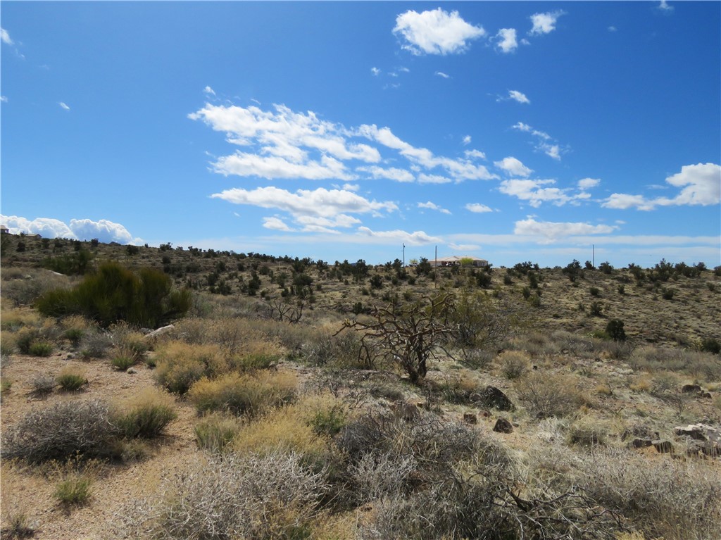 6.01 Acres E Appaloosa Lane