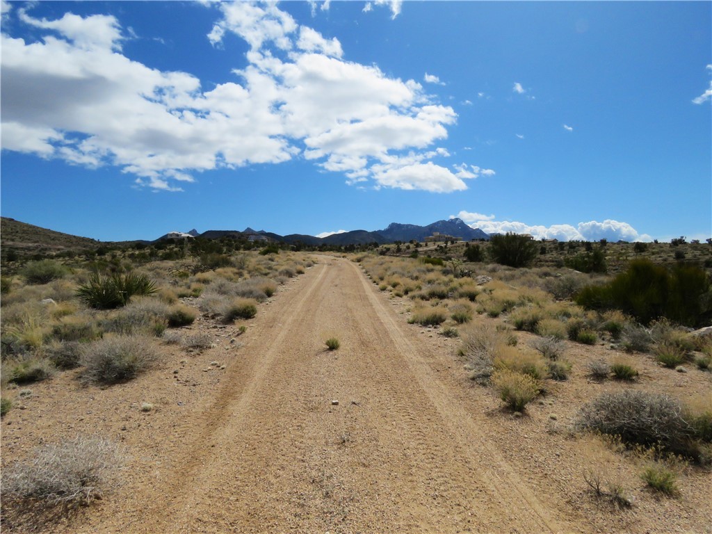 6.01 Acres E Appaloosa Lane