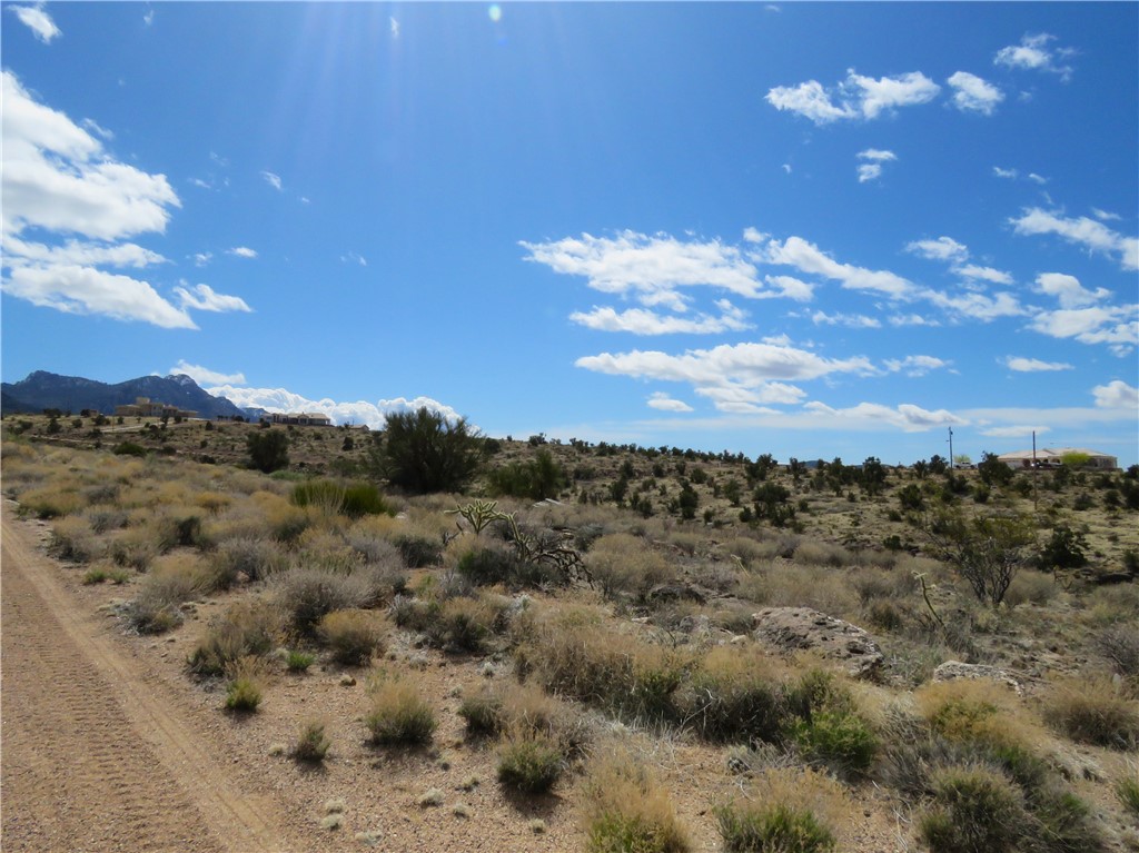 6.01 Acres E Appaloosa Lane