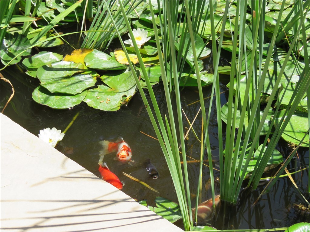 1720 N Clack Canyon Road