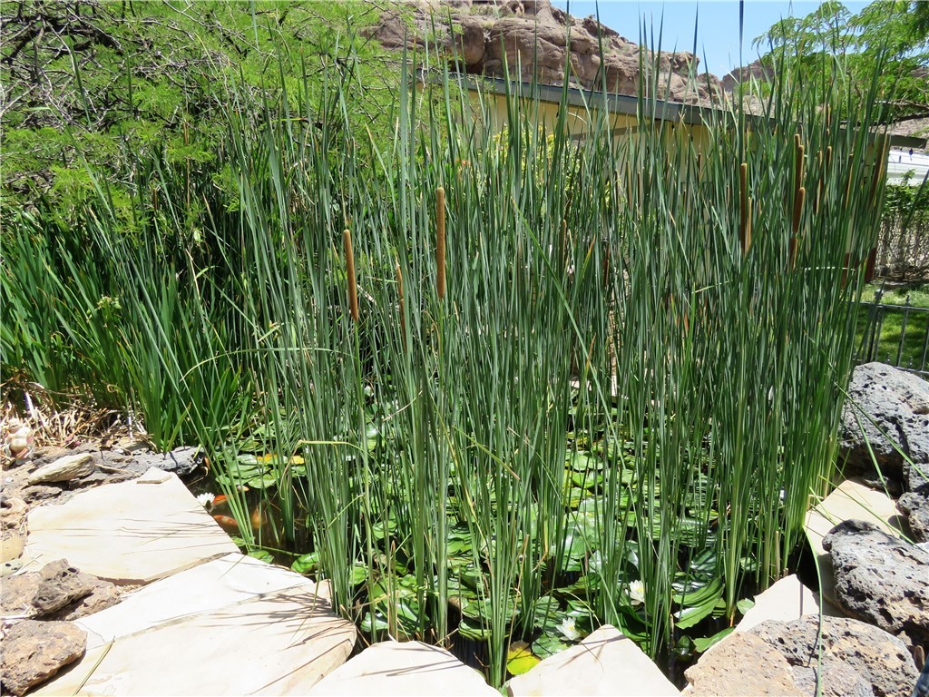 1720 N Clack Canyon Road