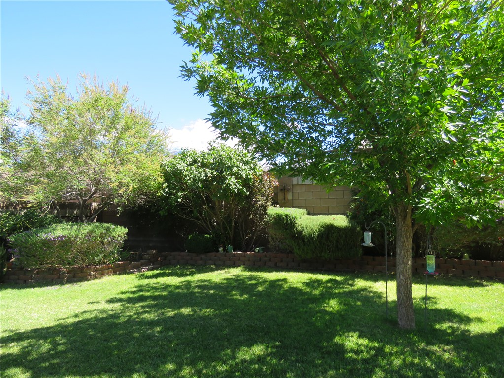 2070 Buena Vista Drive