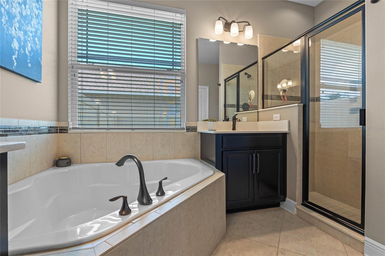 16103 JOHNS LAKE OVERLOOK DR