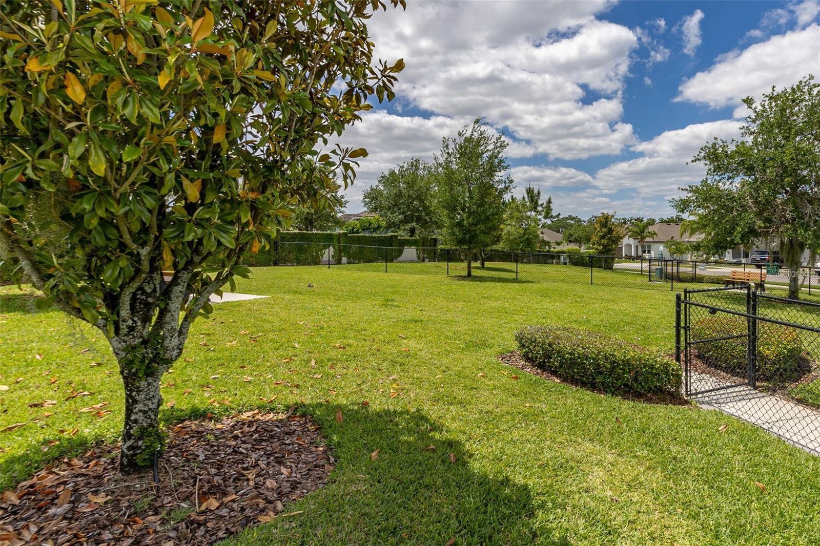 15208 LAKE CLAIRE OVERLOOK DR