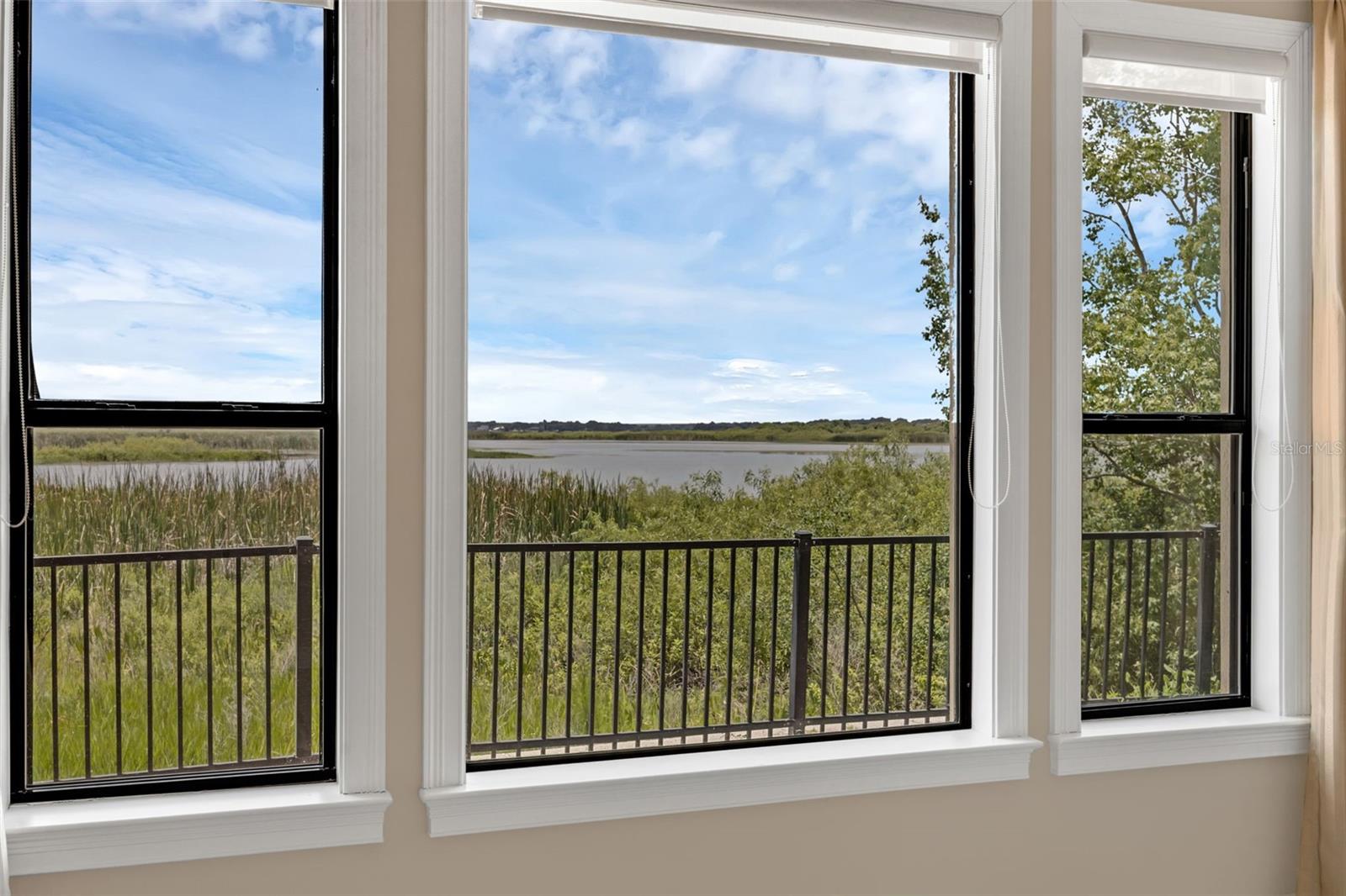 15344 JOHNS LAKE POINTE BLVD