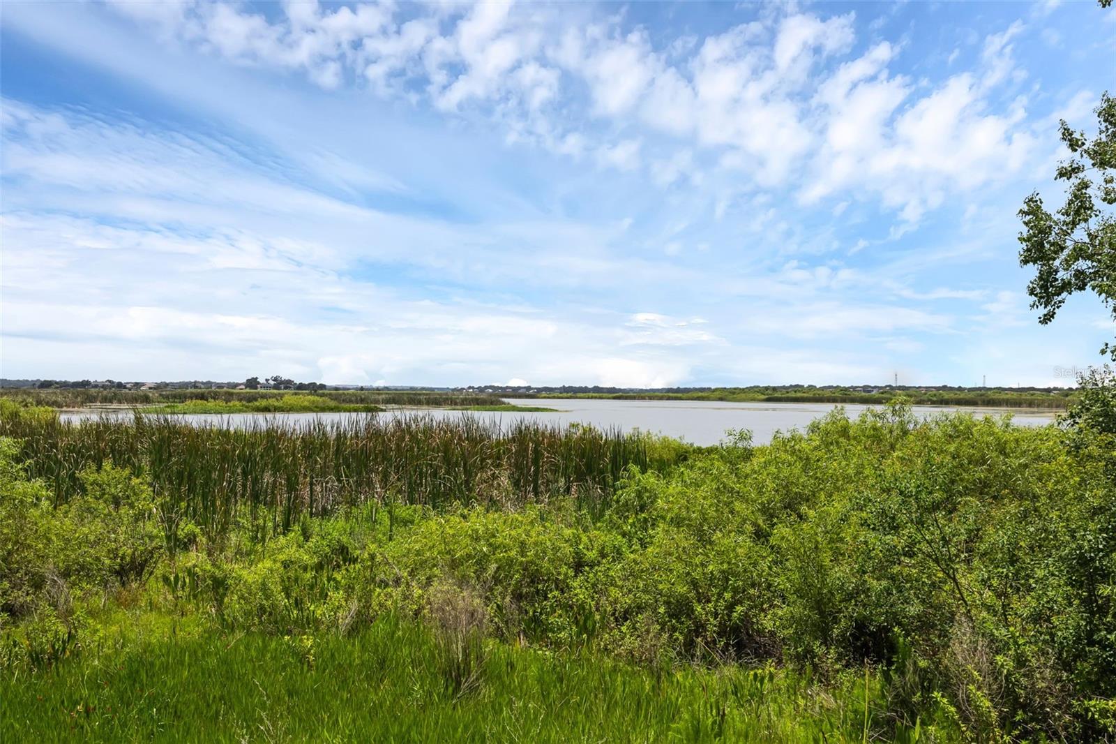 15344 JOHNS LAKE POINTE BLVD