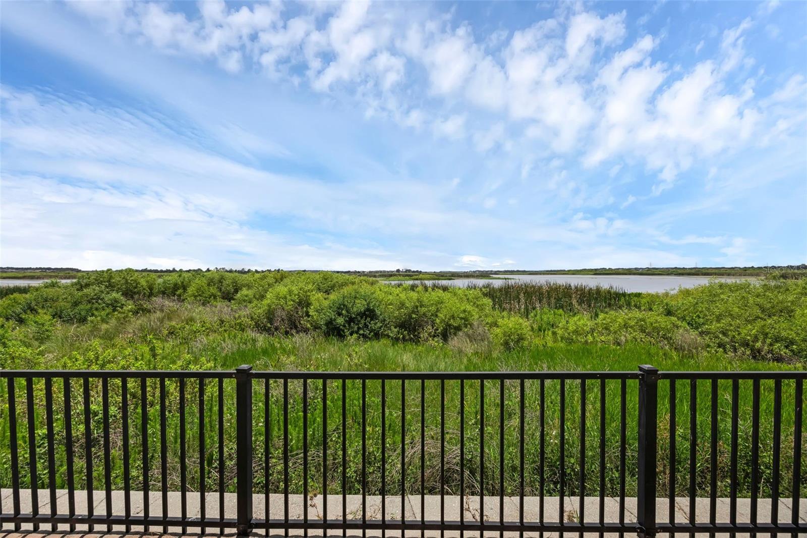 15344 JOHNS LAKE POINTE BLVD