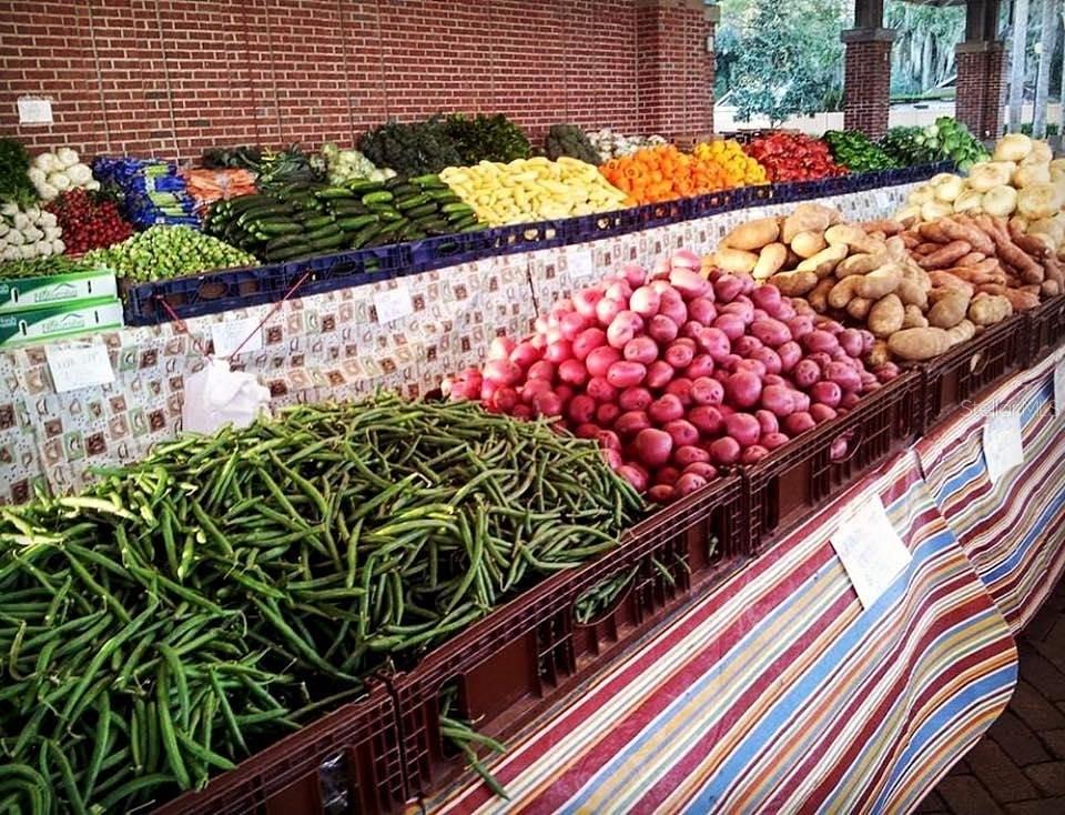 15332 JOHNS LAKE POINTE BLVD