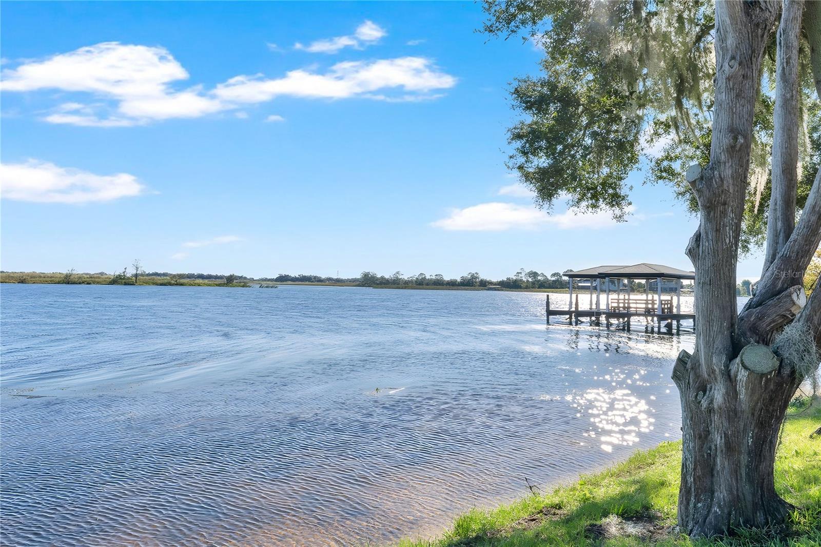 15783 TANGERINE DREAM CT