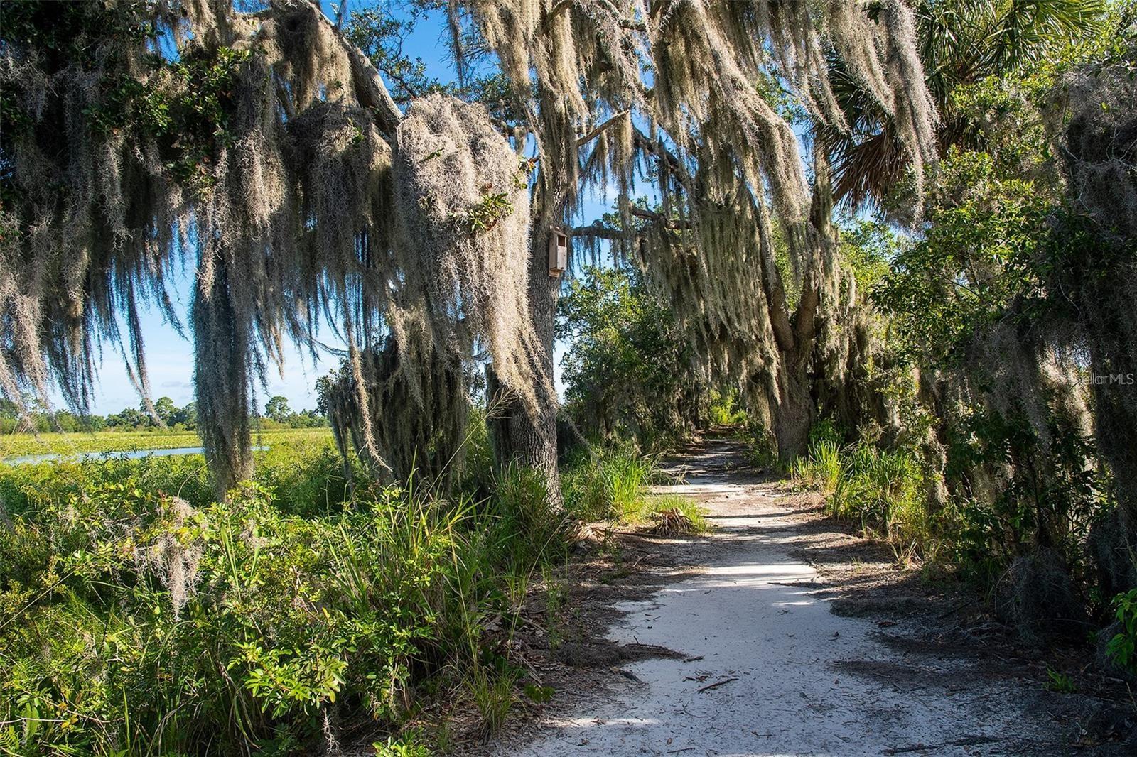 1182 ORANGE SEASON LN