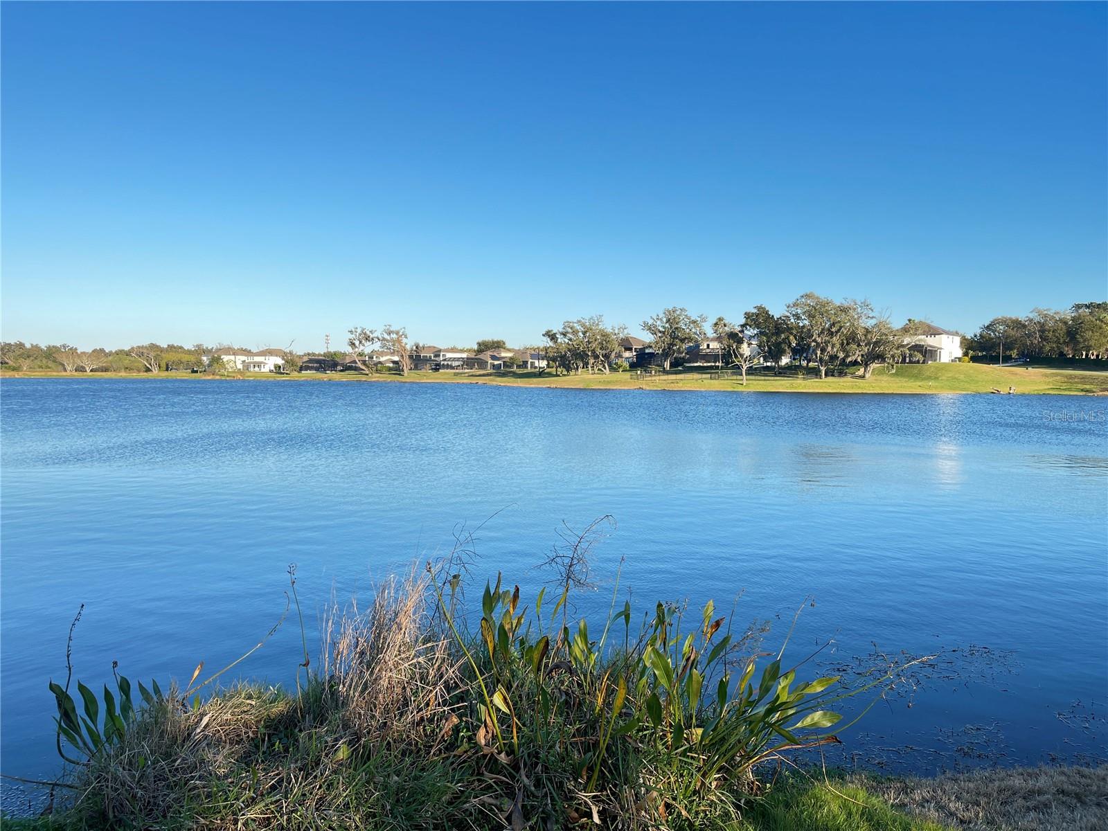 15195 LAKE CLAIRE OVERLOOK DR