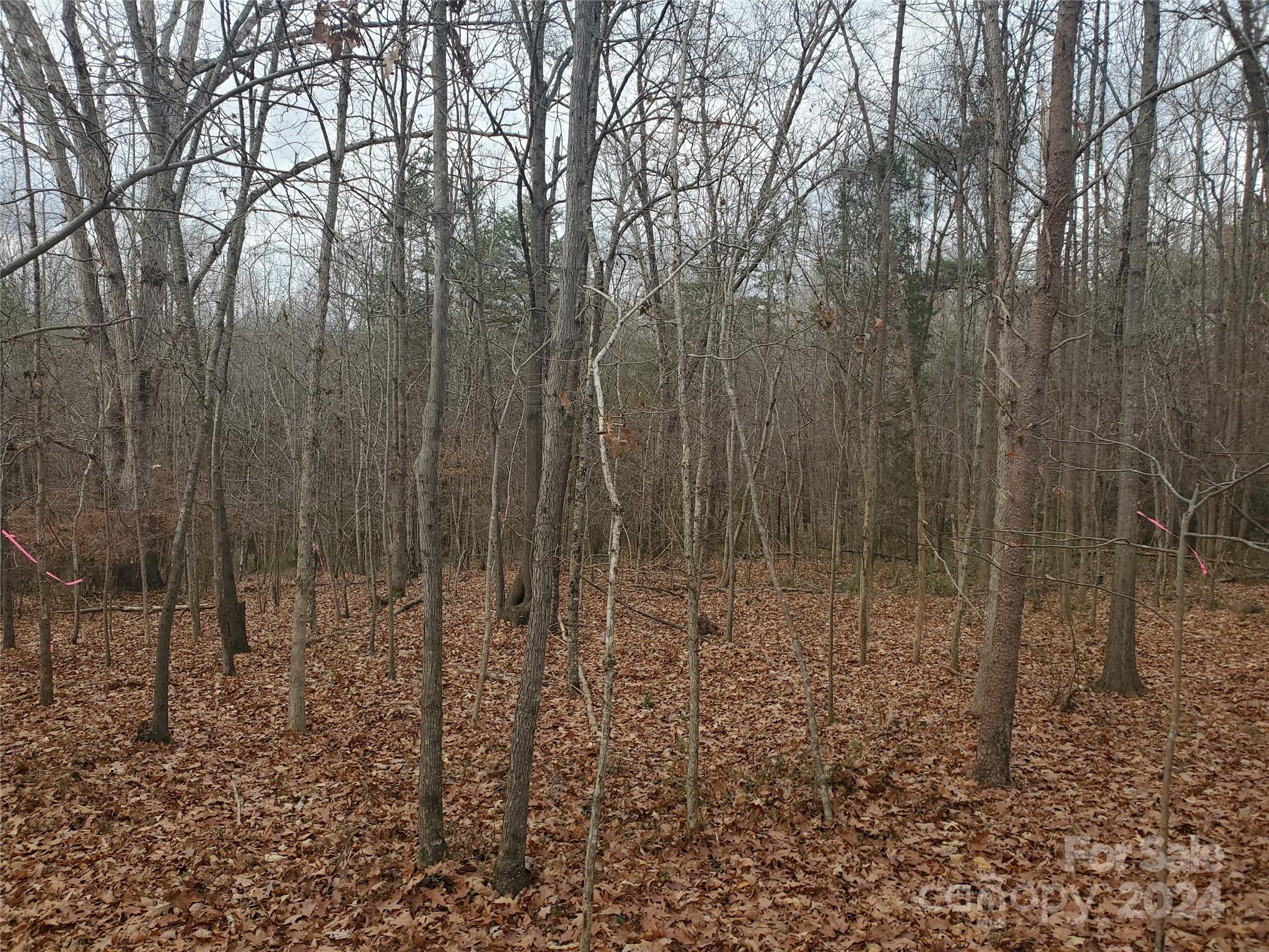 16433 Silver Road Unit: B
