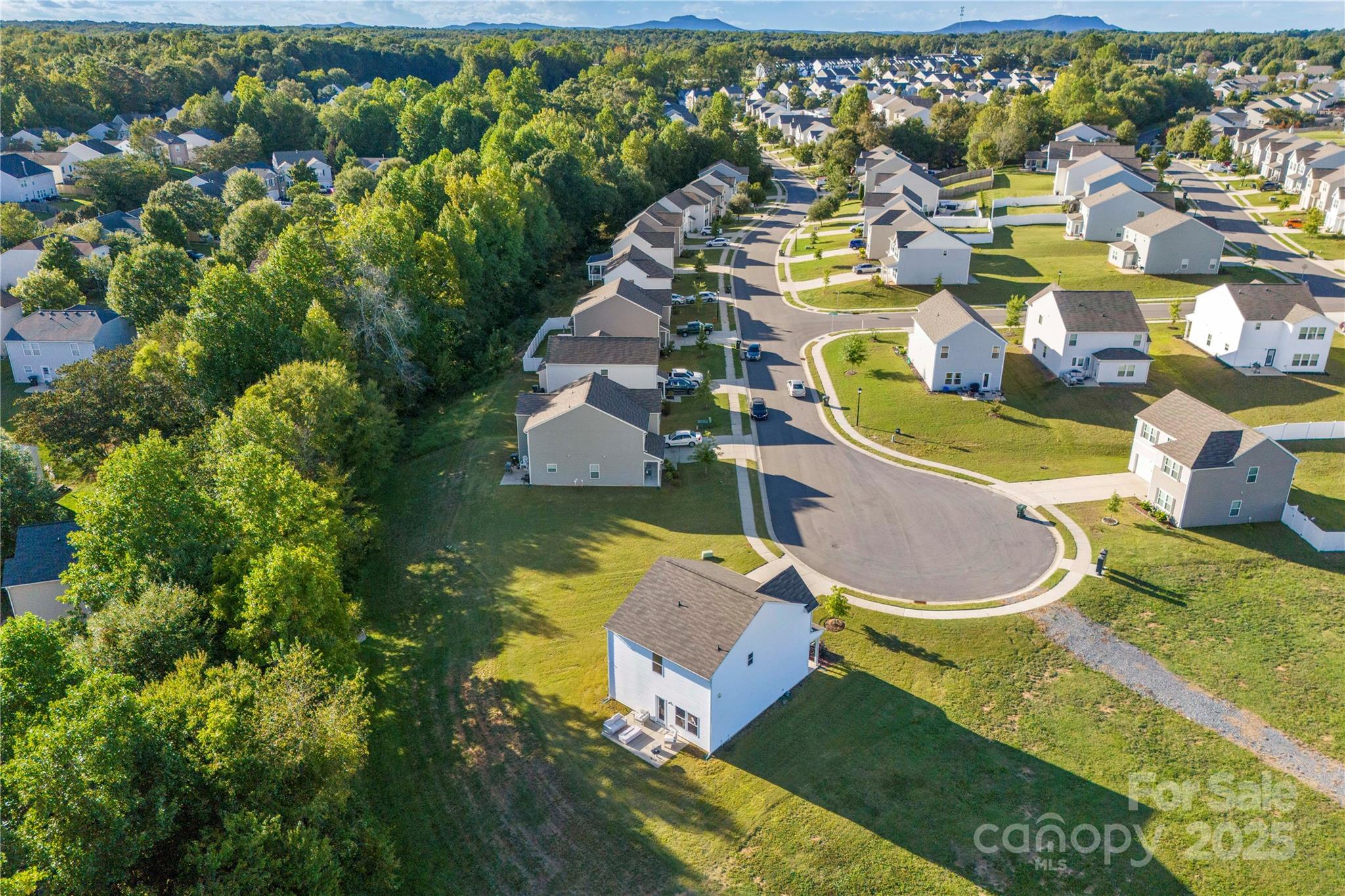 548 Dutch White Drive