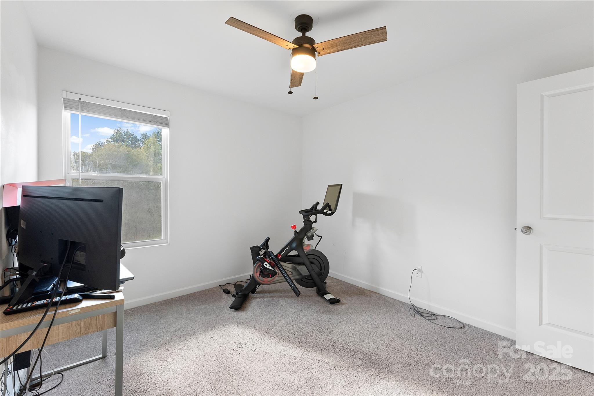548 Dutch White Drive