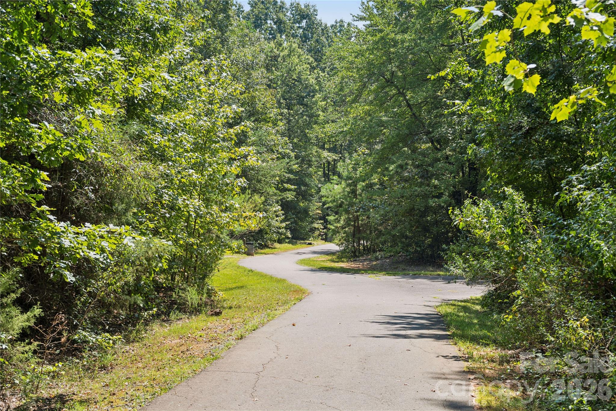 1311 Mossy Glade Road