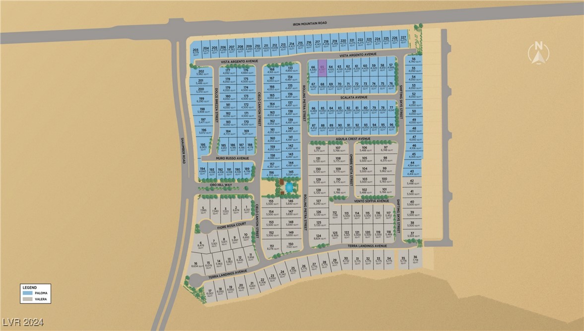 10363 Vista Argento Avenue