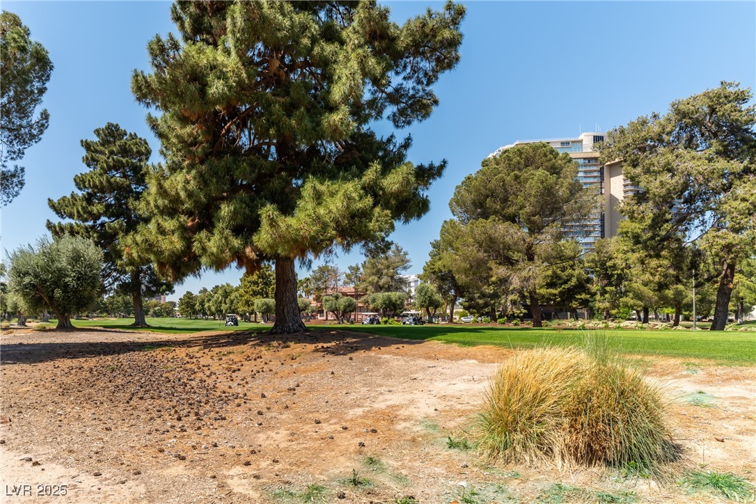 3217 Pinehurst Drive