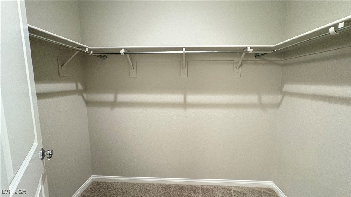 11620 Golden Oriole Avenue