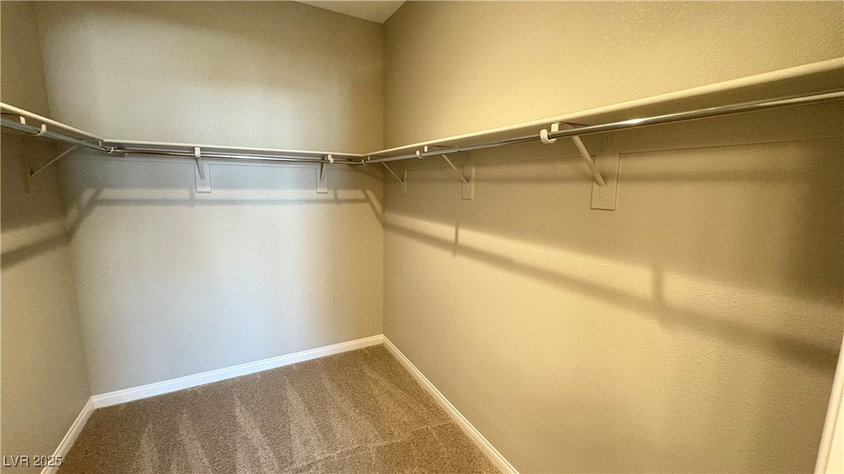 11620 Golden Oriole Avenue