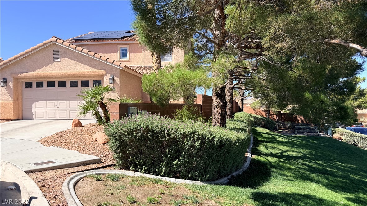 11173 Vivid Avenue