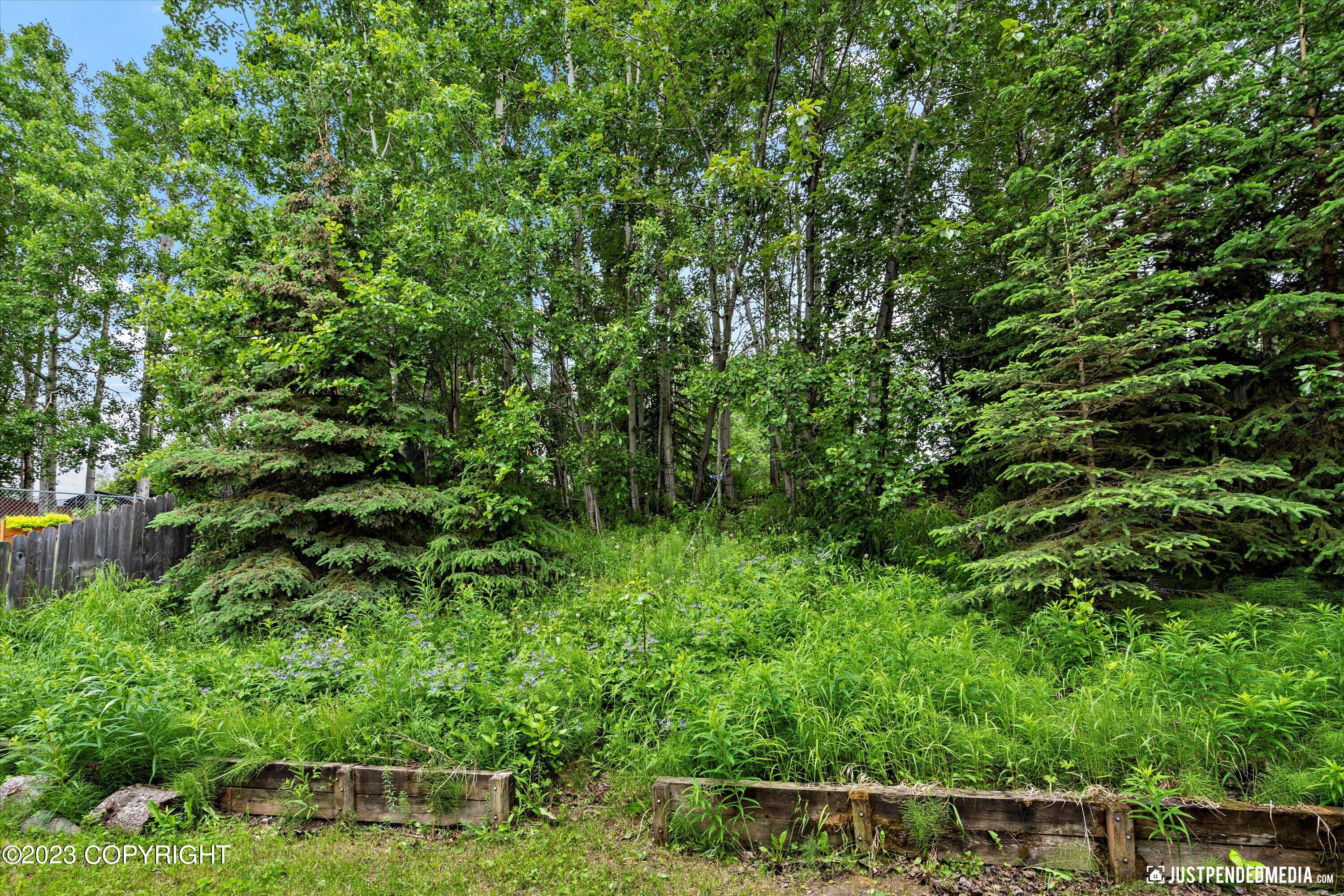 8911 Winchester Street