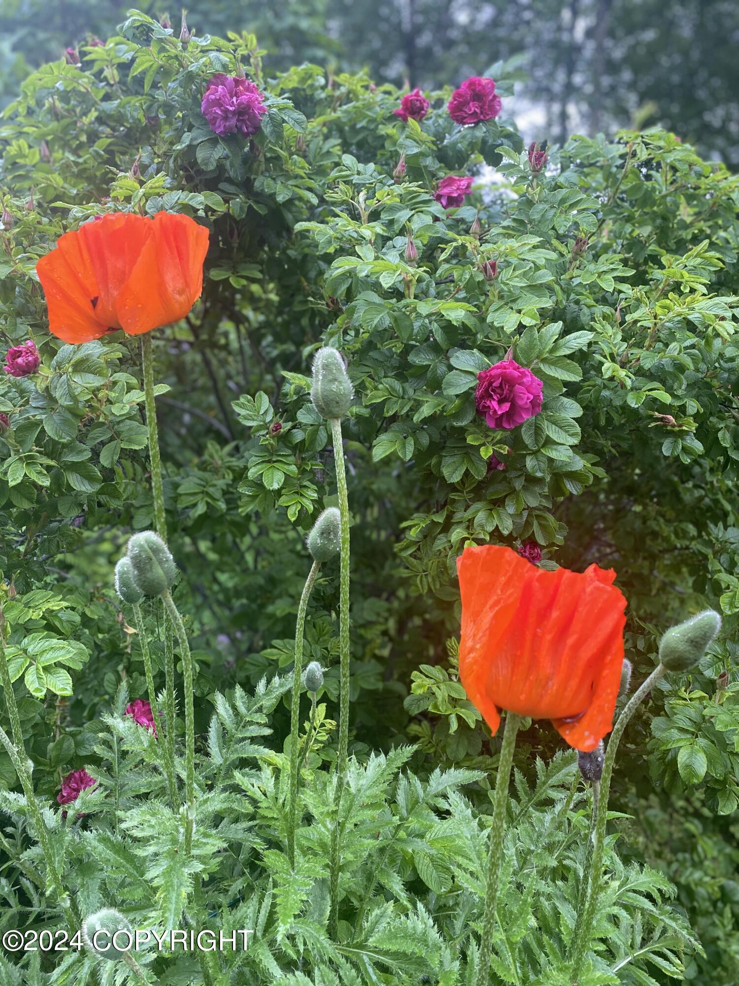 15651 Southpark Loop