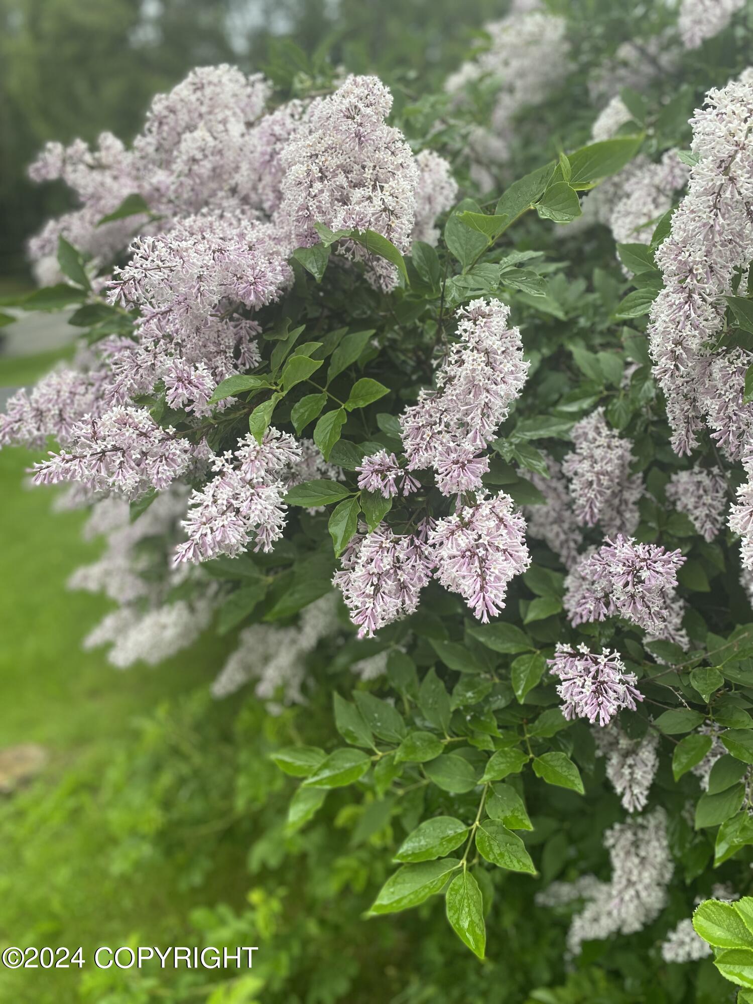 15651 Southpark Loop