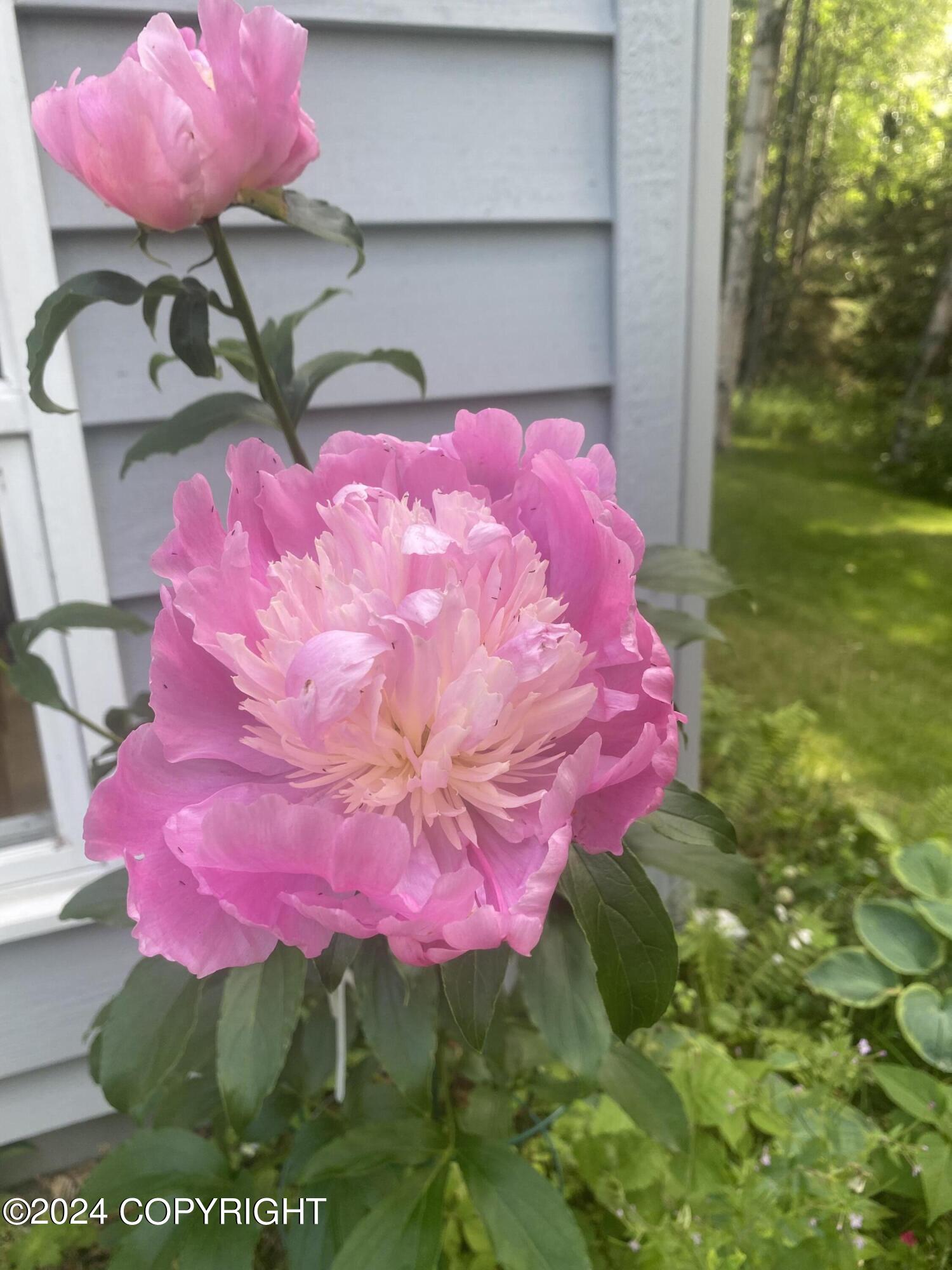 15651 Southpark Loop