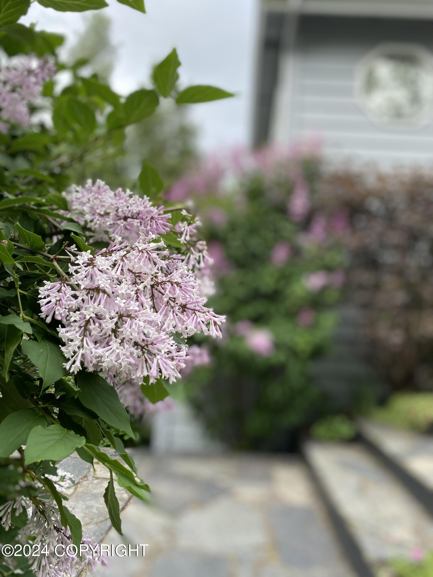 15651 Southpark Loop