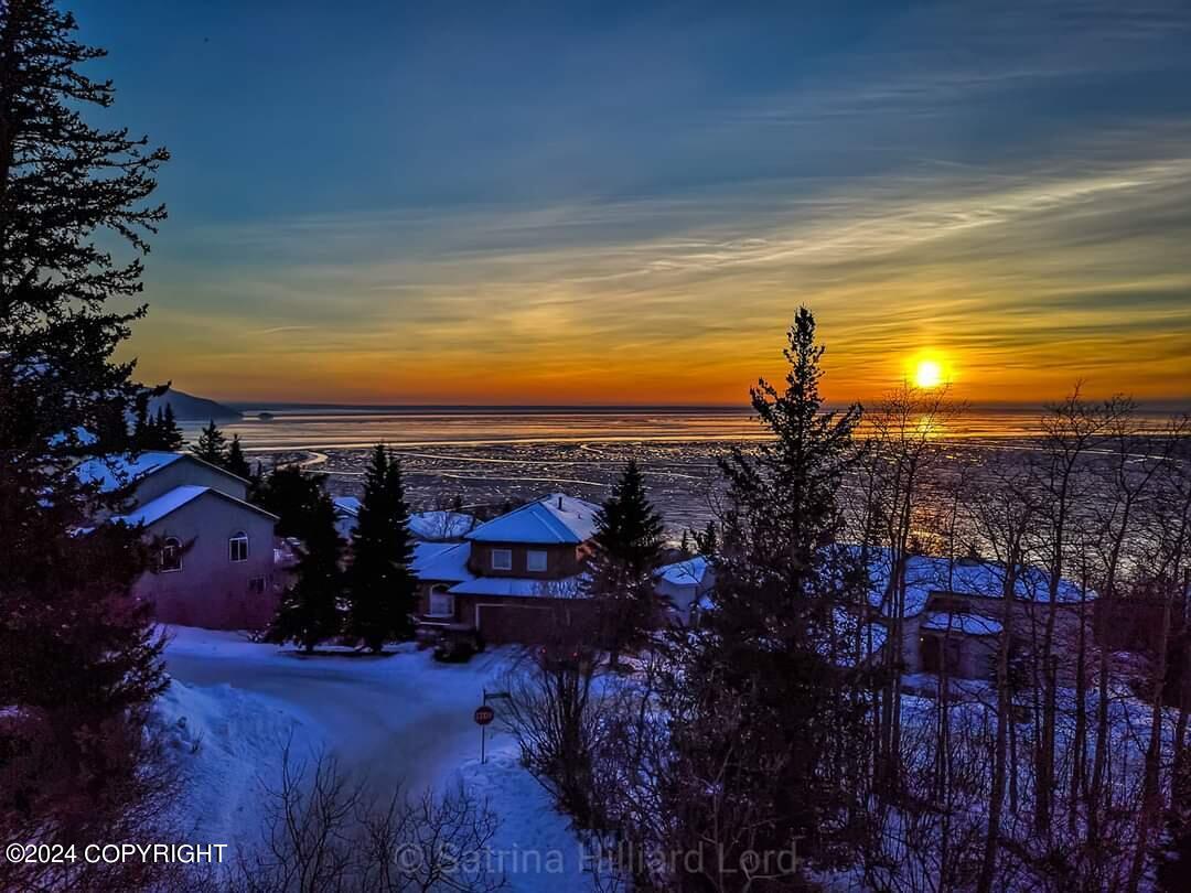 18620 Harlequin Place