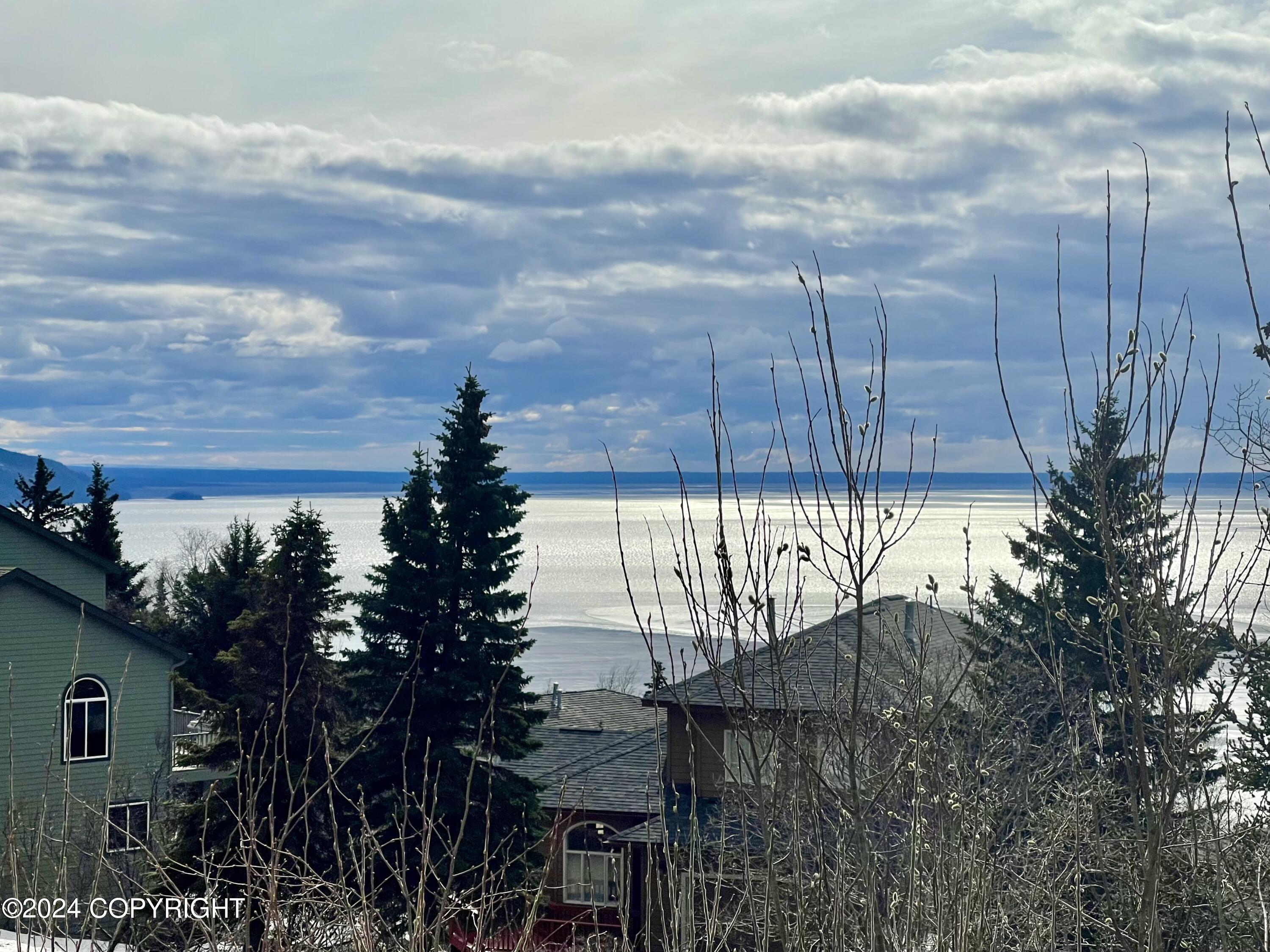 18620 Harlequin Place