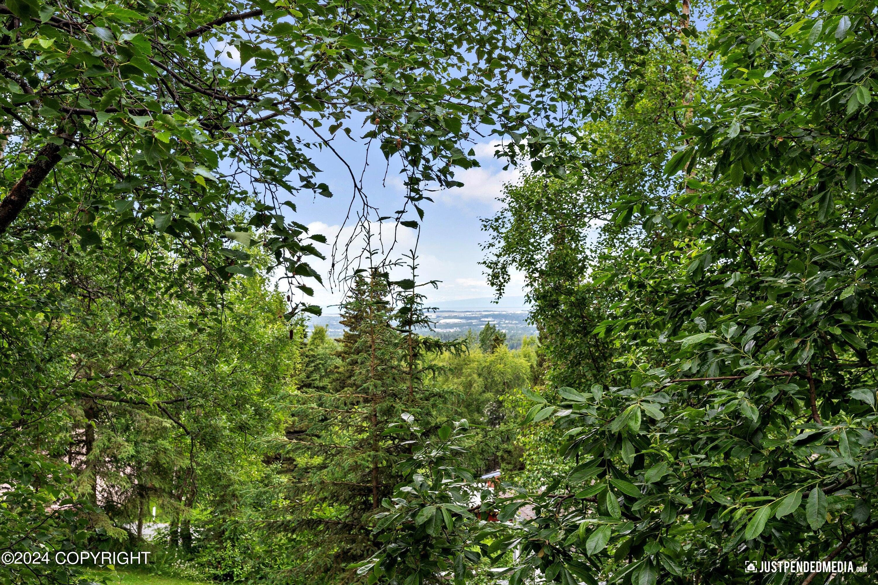 6851 Round Tree Circle