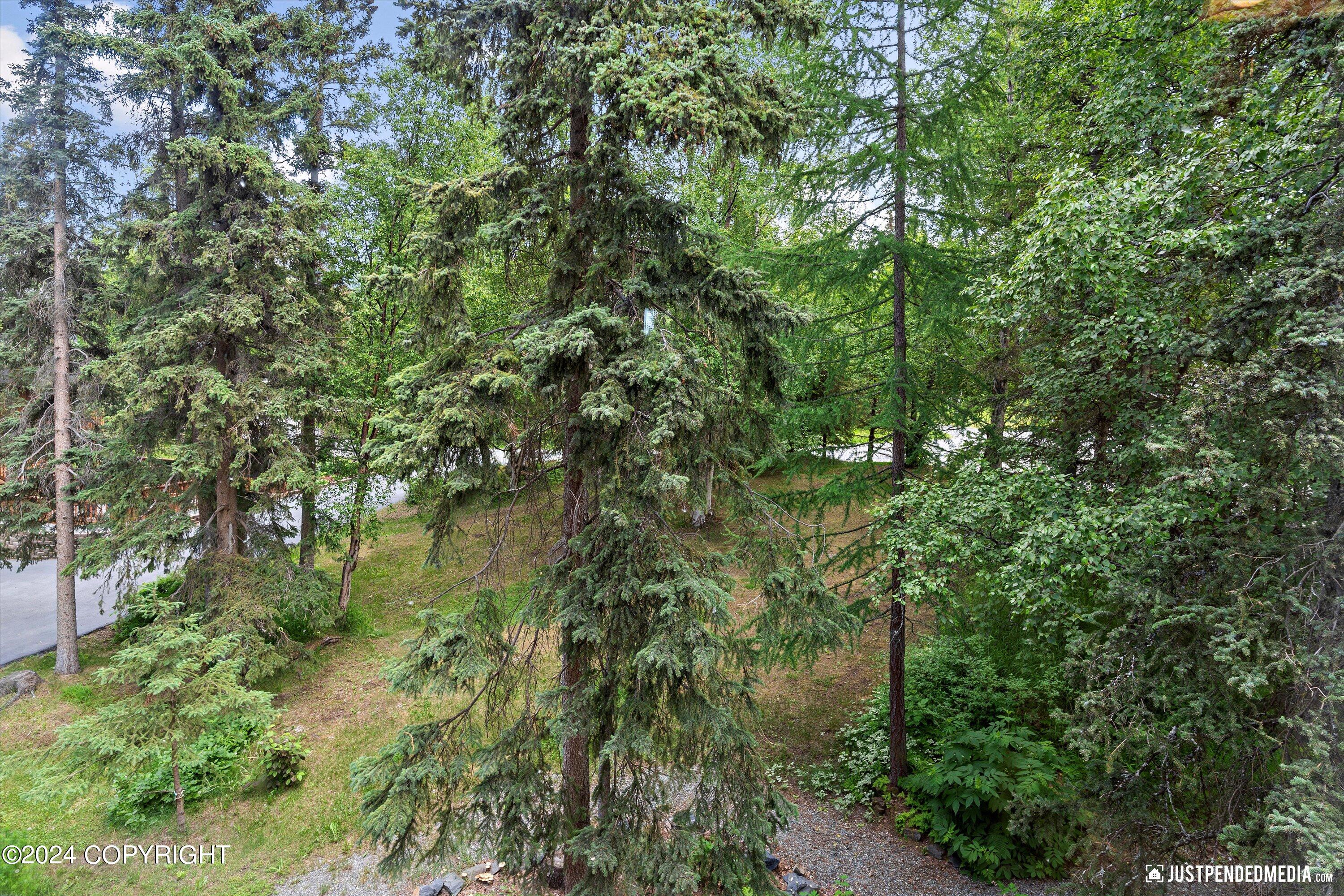 6851 Round Tree Circle