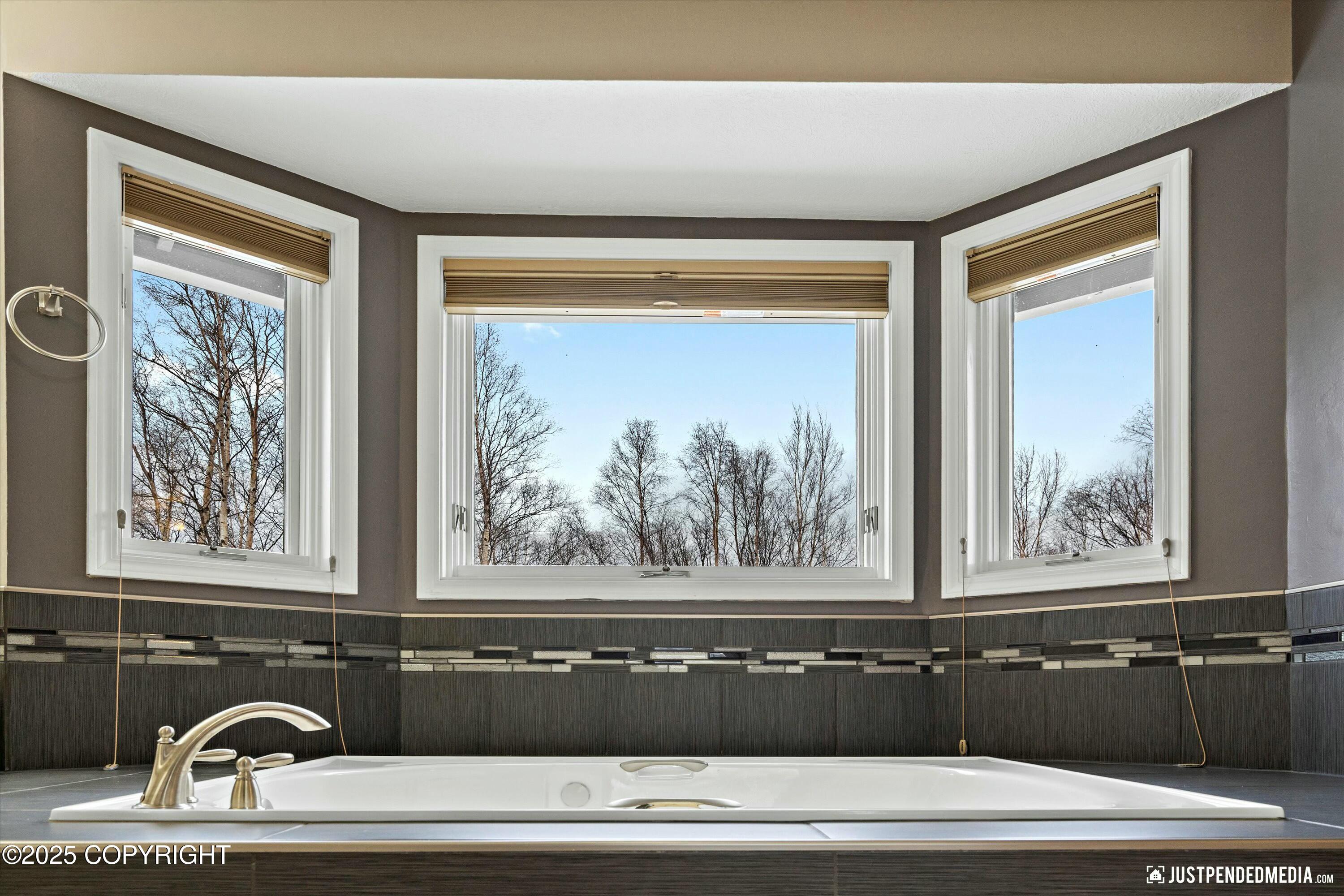 4681 Southpark Bluff Drive