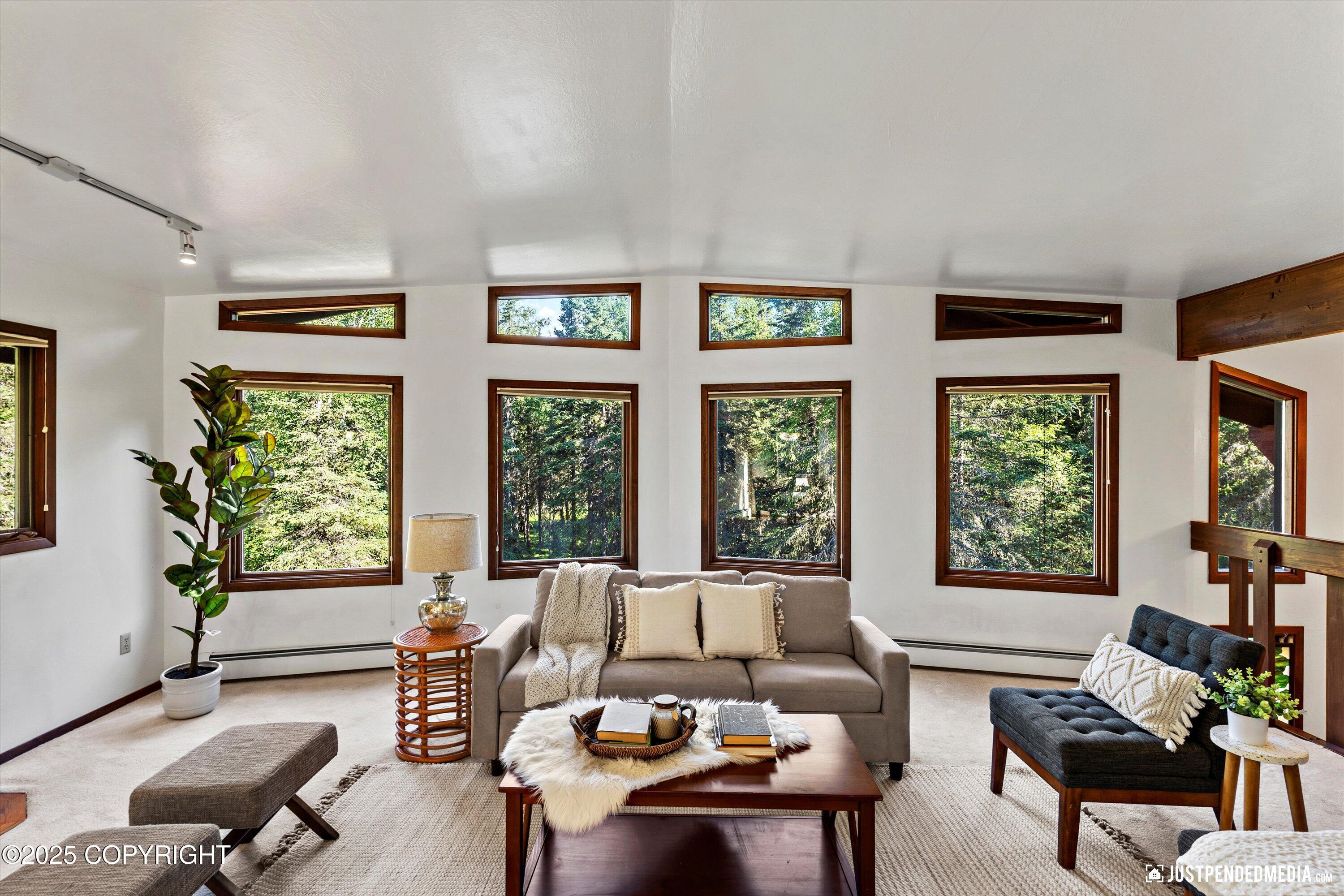 10151 Evergreen Tree Street