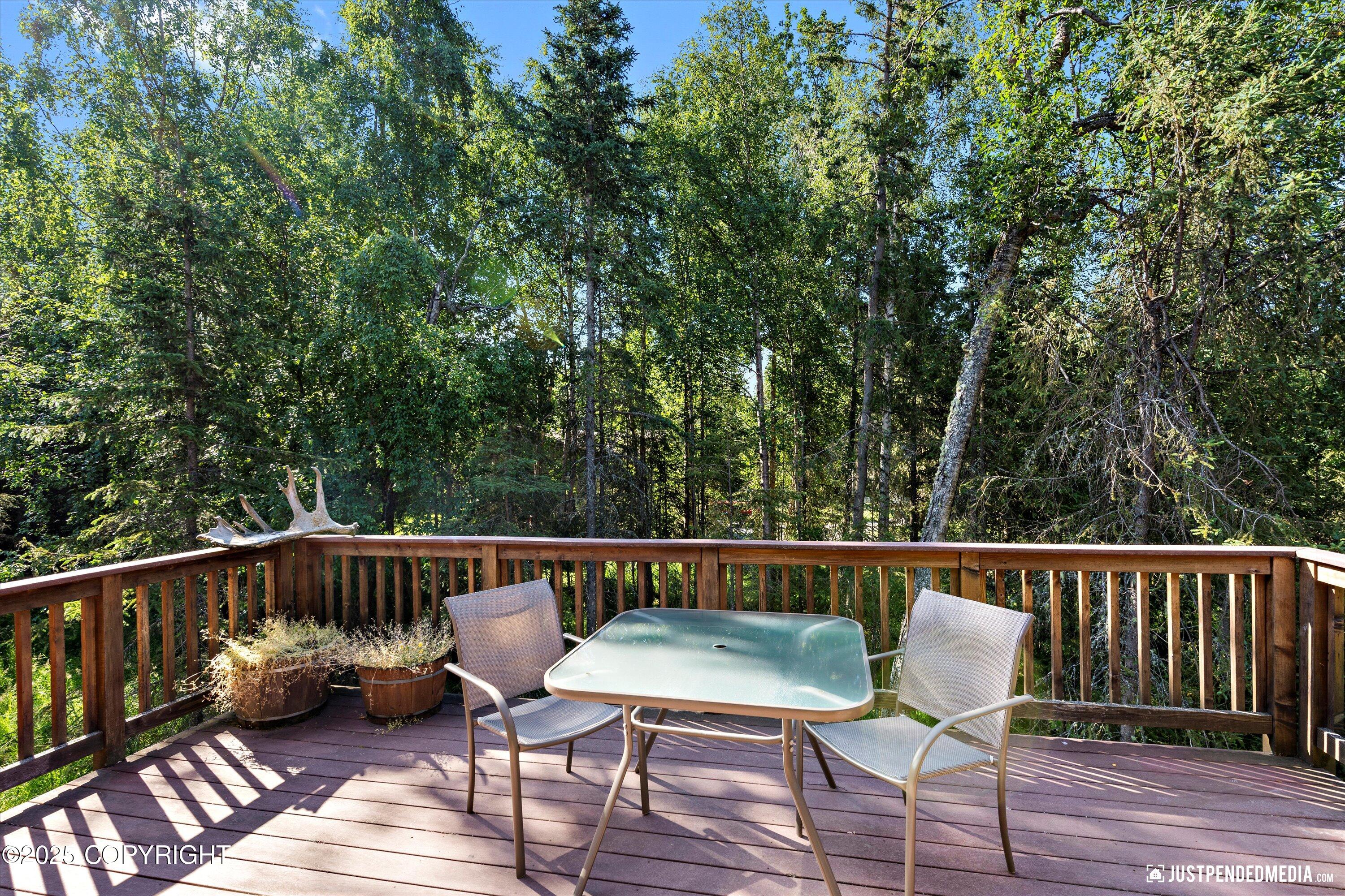 10151 Evergreen Tree Street