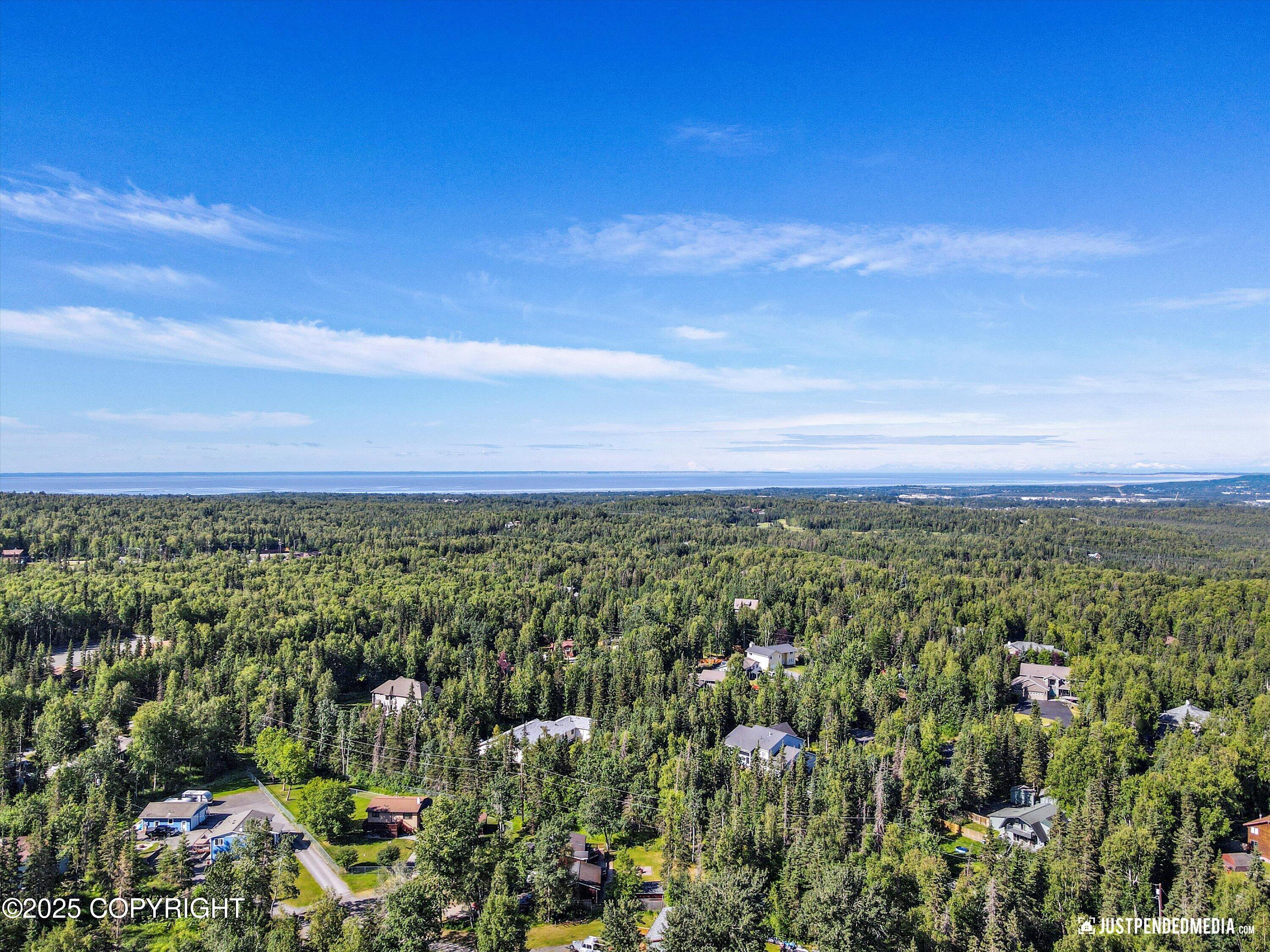 10151 Evergreen Tree Street