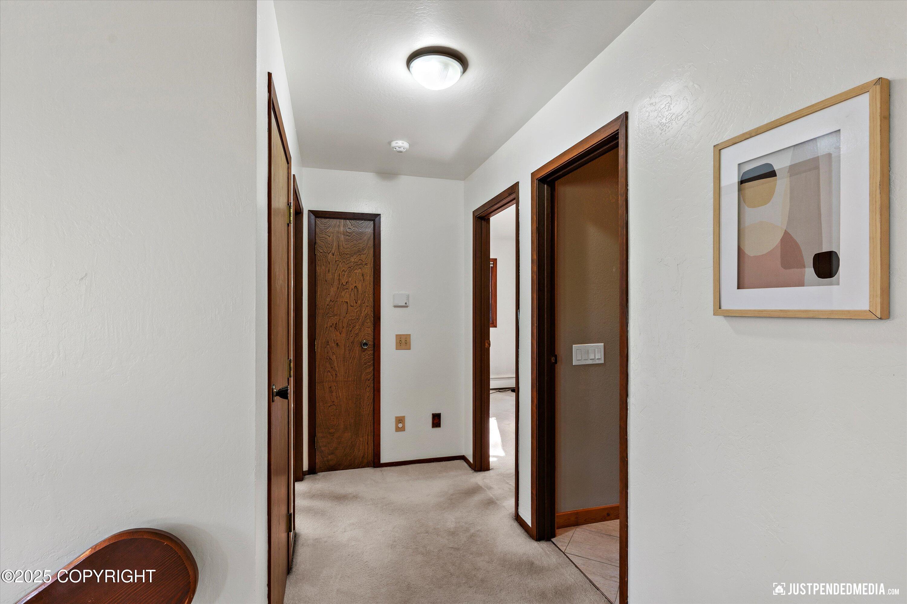 10151 Evergreen Tree Street