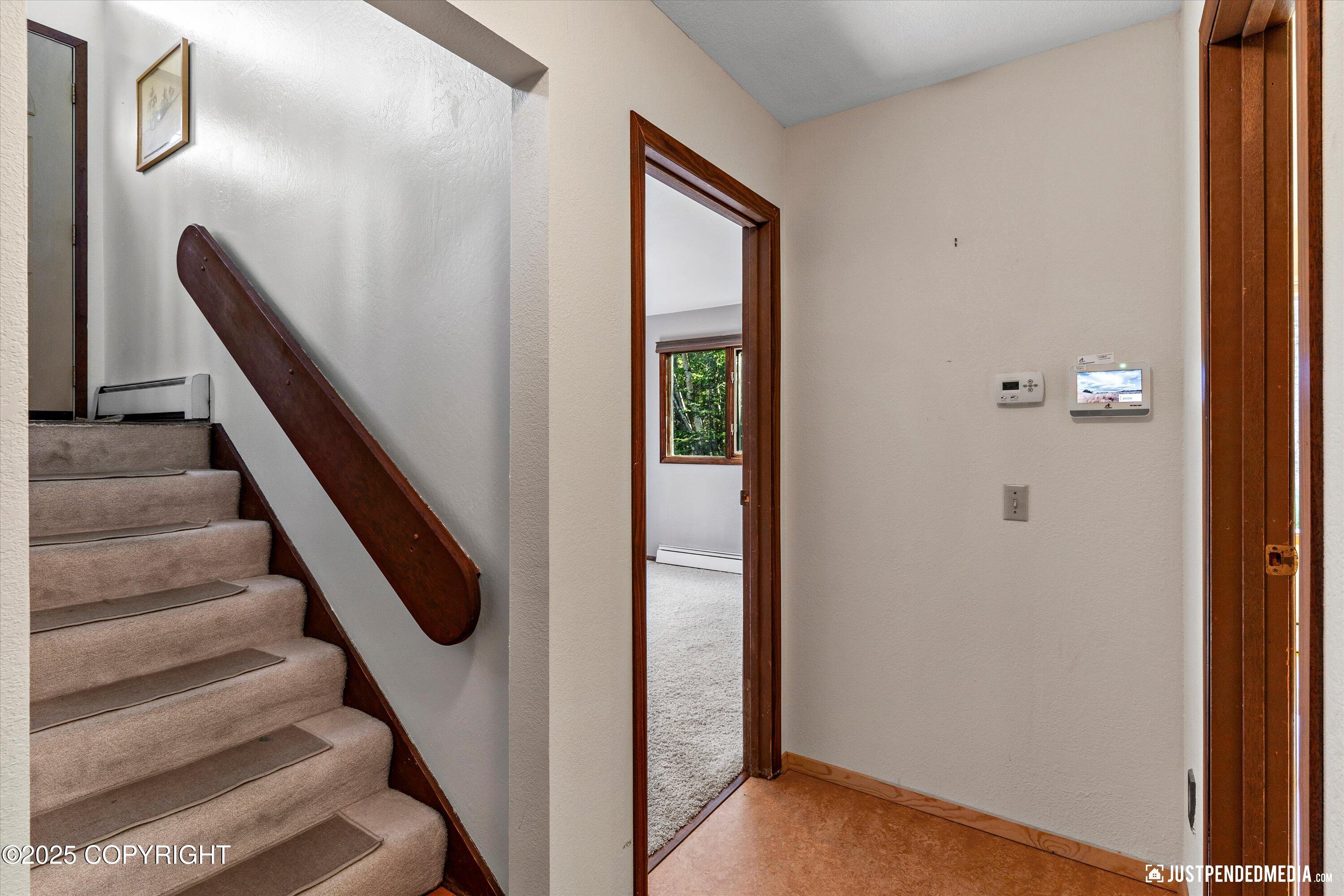 10151 Evergreen Tree Street