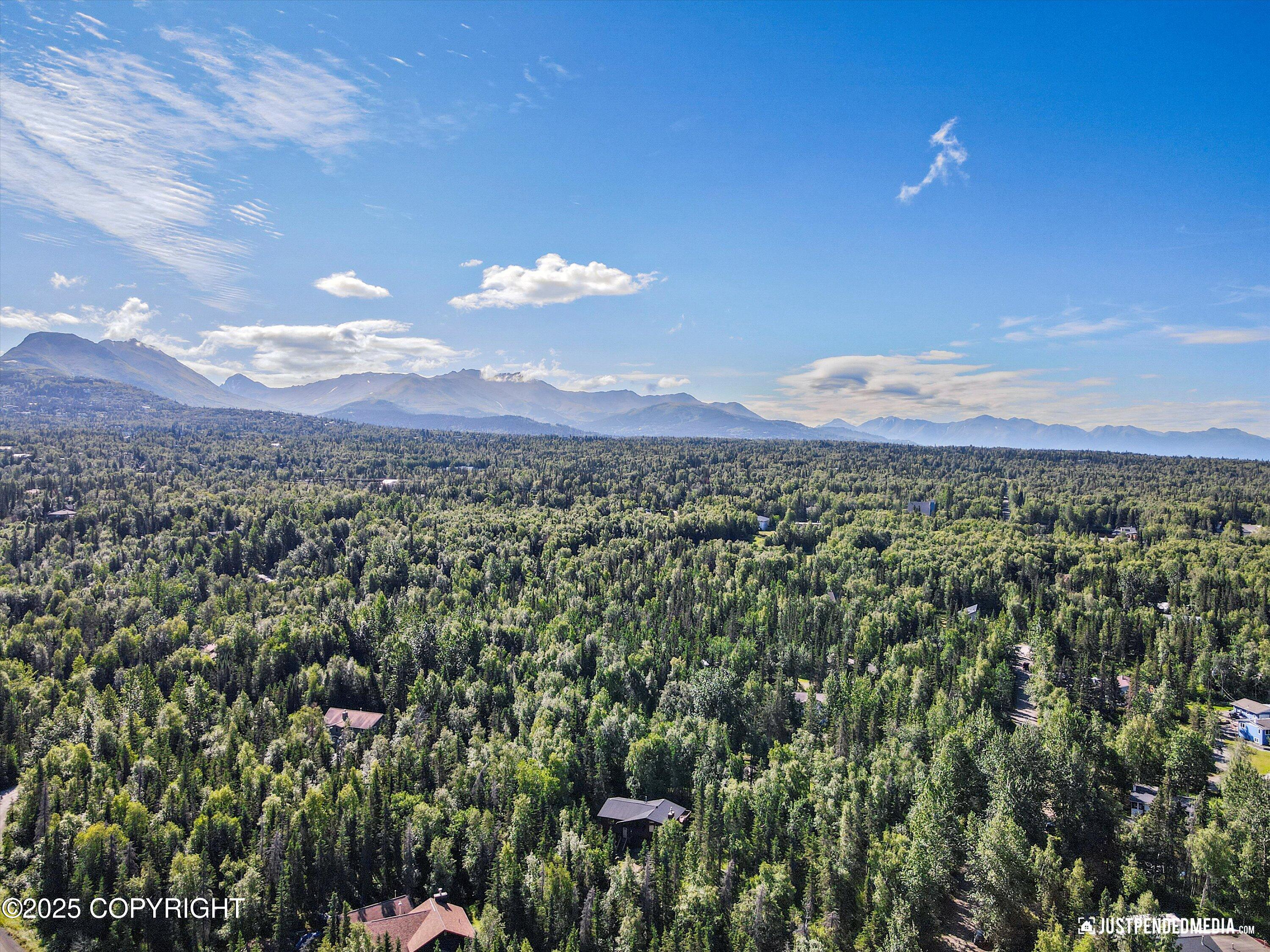 10151 Evergreen Tree Street