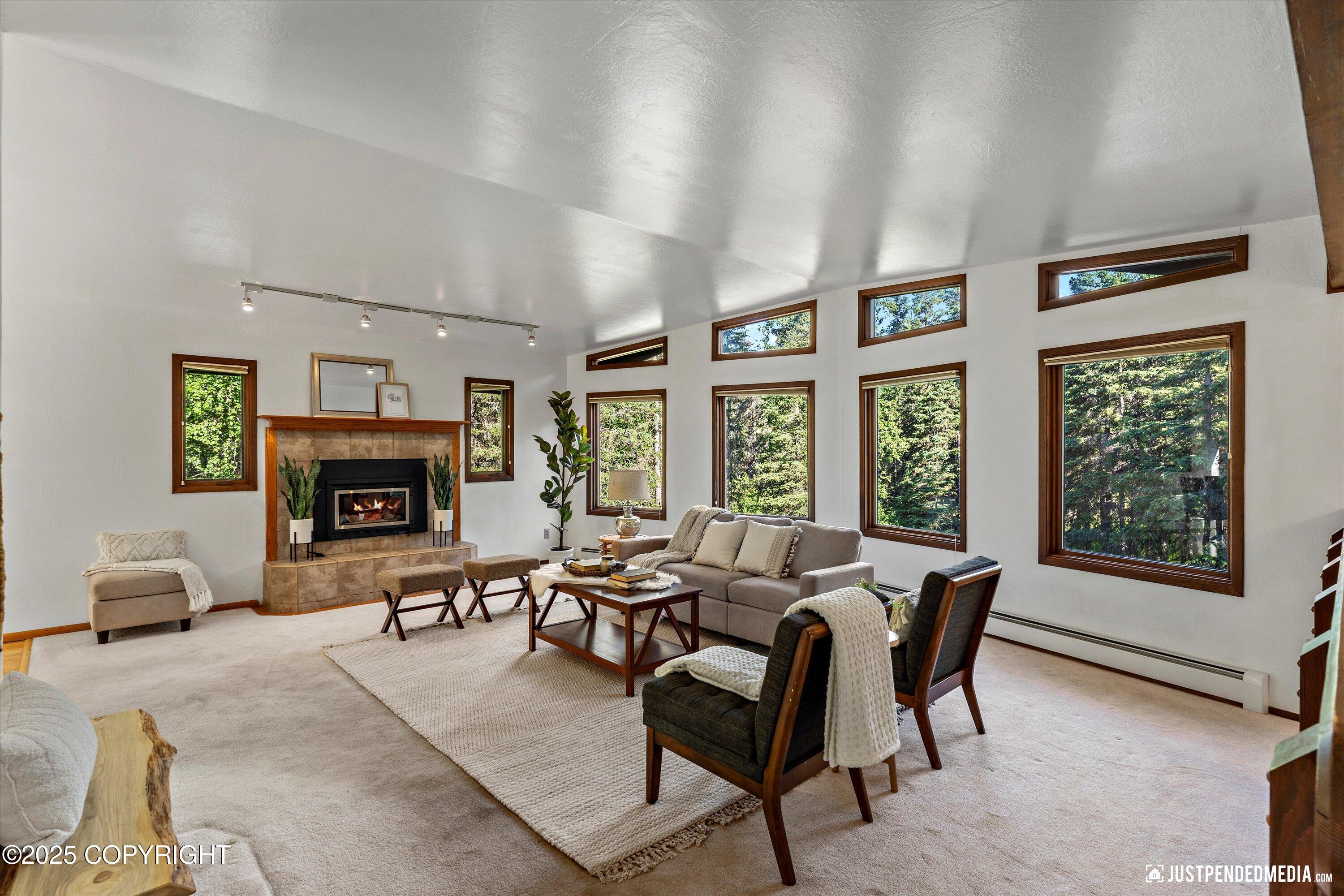 10151 Evergreen Tree Street