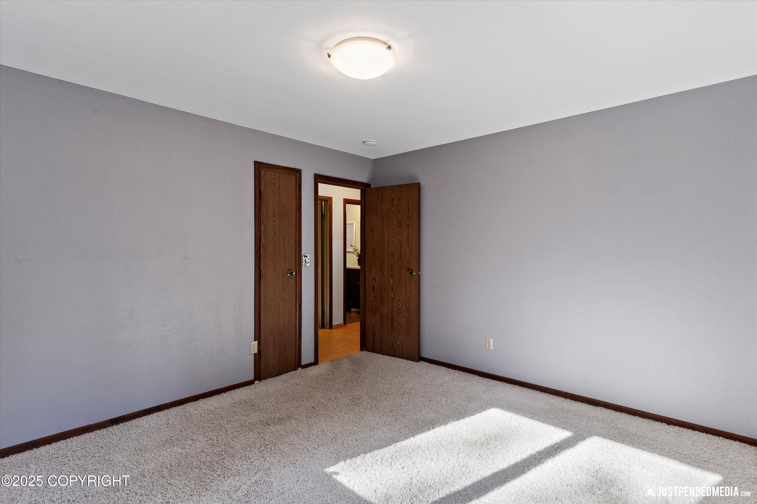 10151 Evergreen Tree Street