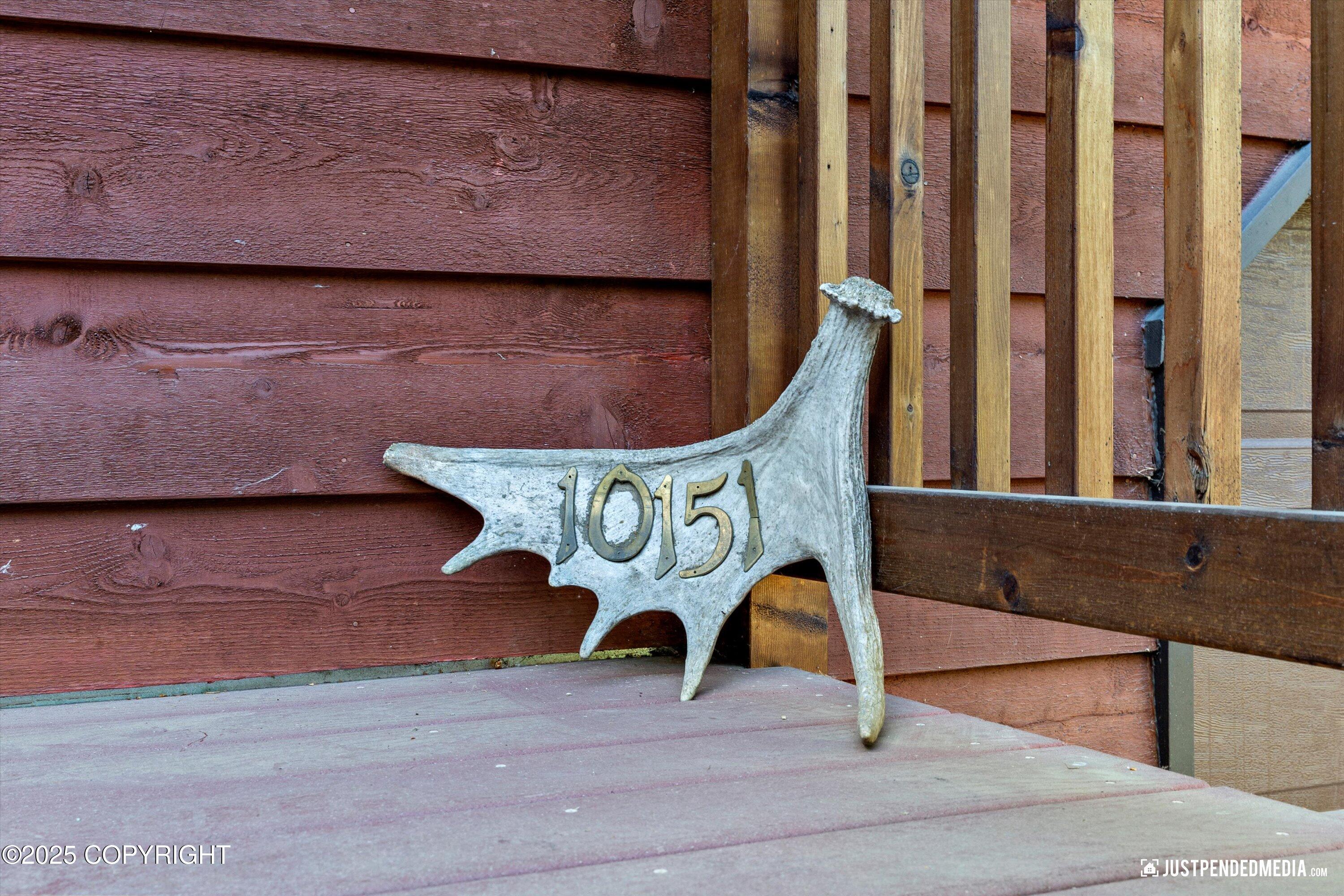 10151 Evergreen Tree Street