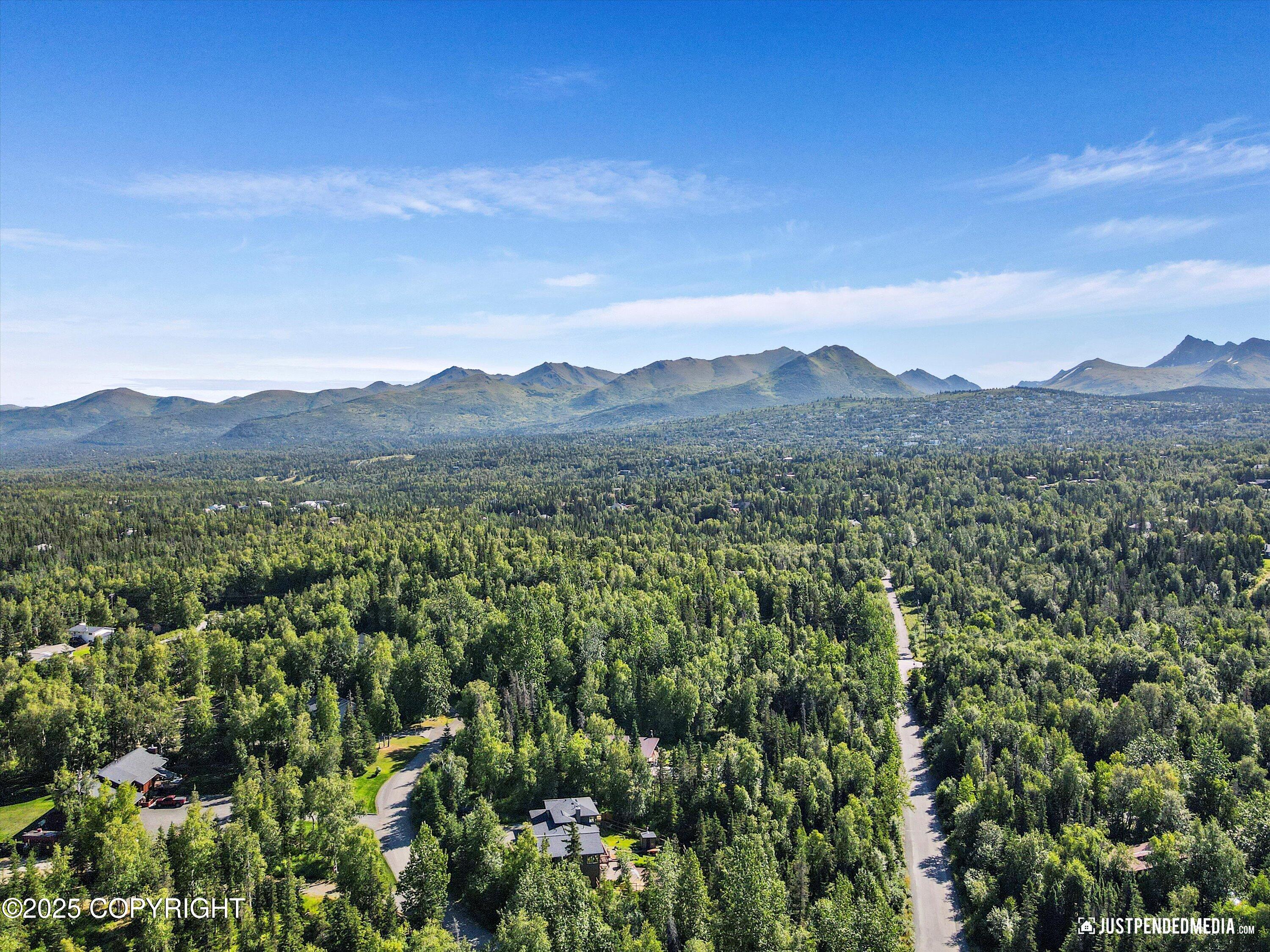 10151 Evergreen Tree Street